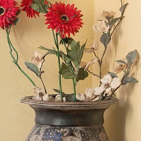 Doria Valle Maira Отель типа 